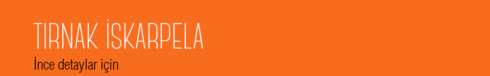 liste_banner-1.1.jpg (56 KB)