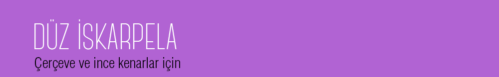 liste_banner-2.jpg (52 KB)
